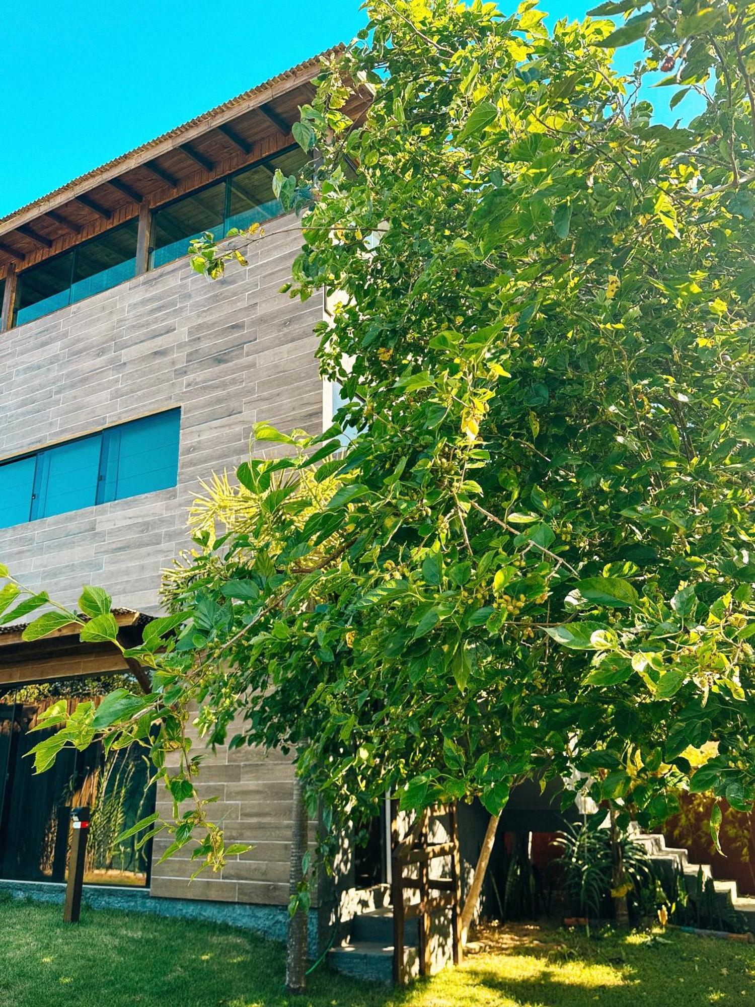 Sheeps Family - Loft, Casa E Apartamento Para Temporada - Praia Do Rosa Ngoại thất bức ảnh